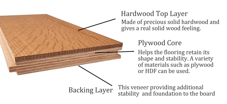 Structure of Multi Ply Engineered Wood Flooring